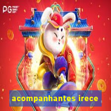 acompanhantes irece